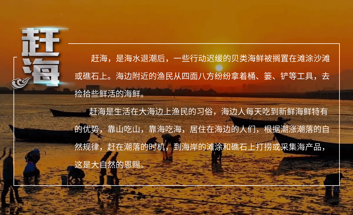 赶海_02.gif